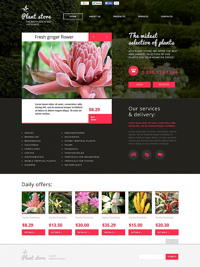 Flower Shop Flash CMS Template New Screenshots BIG