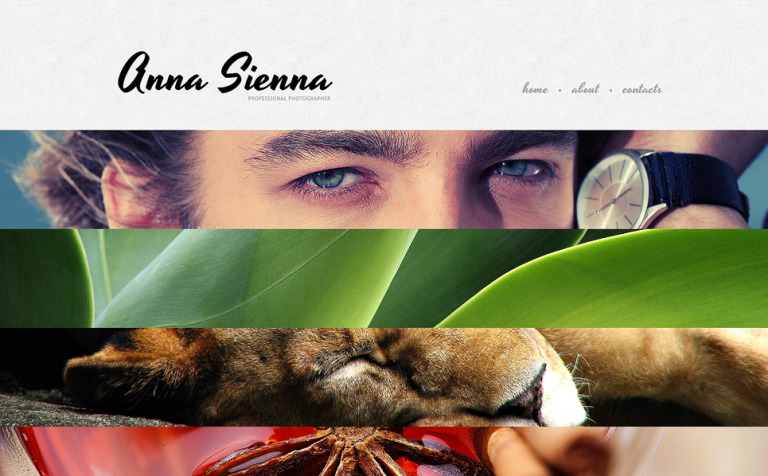 Photographer Portfolio Bootstrap Website Template Big Screenshot Photographer Portfolio Responsive Website Template New Screenshots BIG