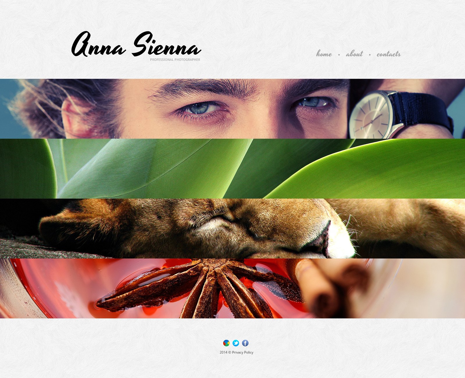 Plantilla Web Responsive para Sitio de Portafolios de fotógrafos #48147 - captura de pantalla