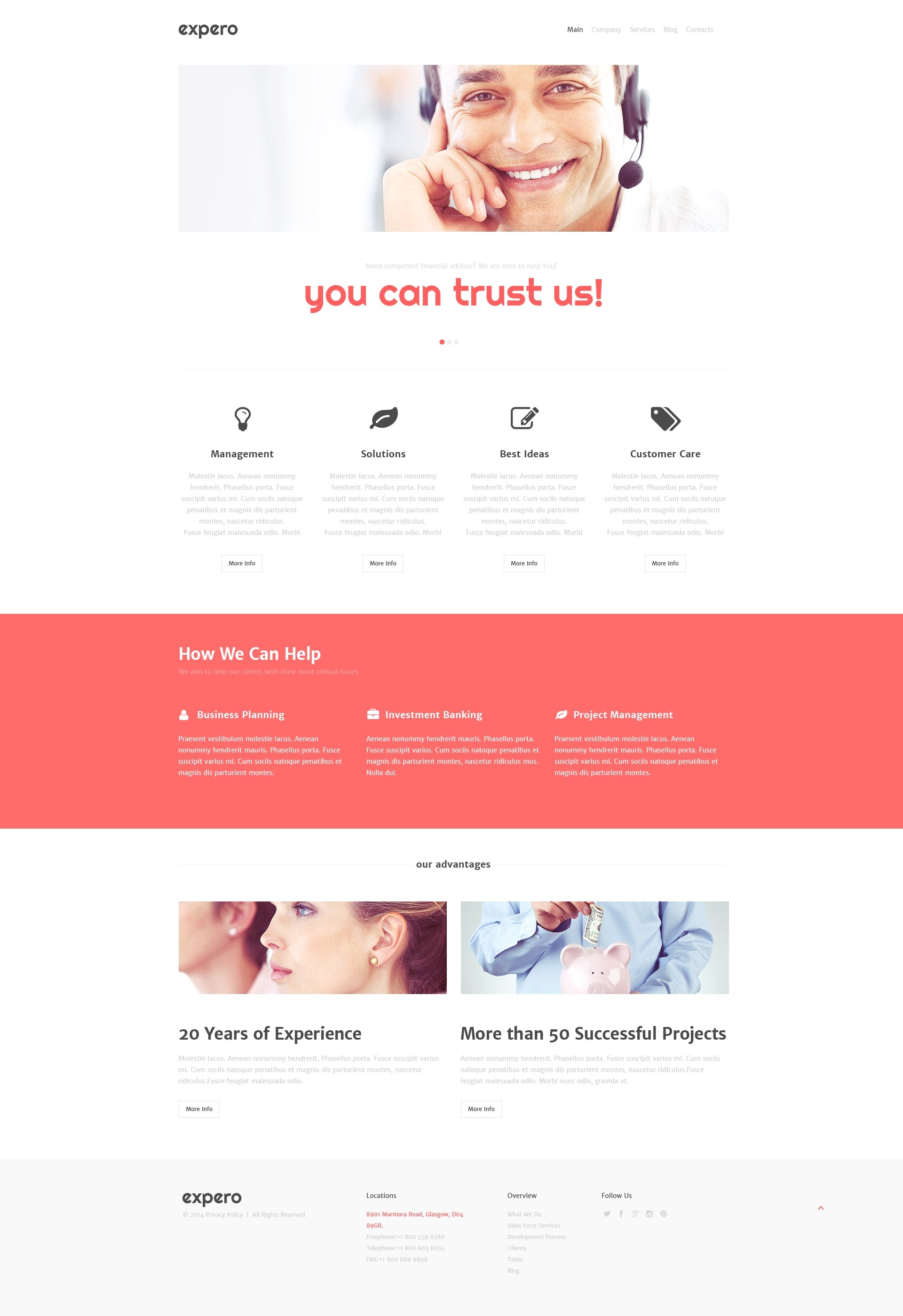 Consulting Firm WordPress Theme - screenshot
