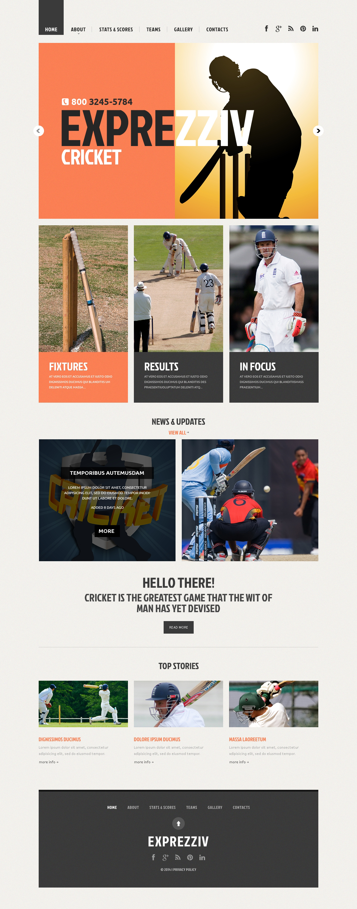 "Cricket Responsive Website Template" Responsive Website template №48223