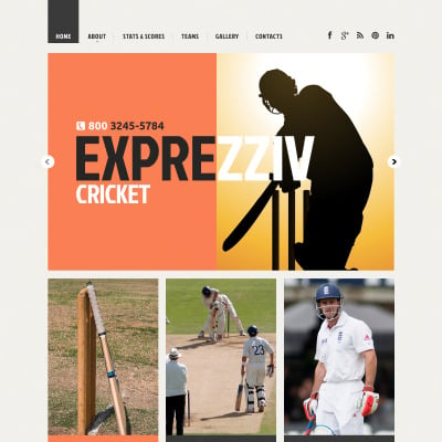 Cricket Templates | TemplateMonster