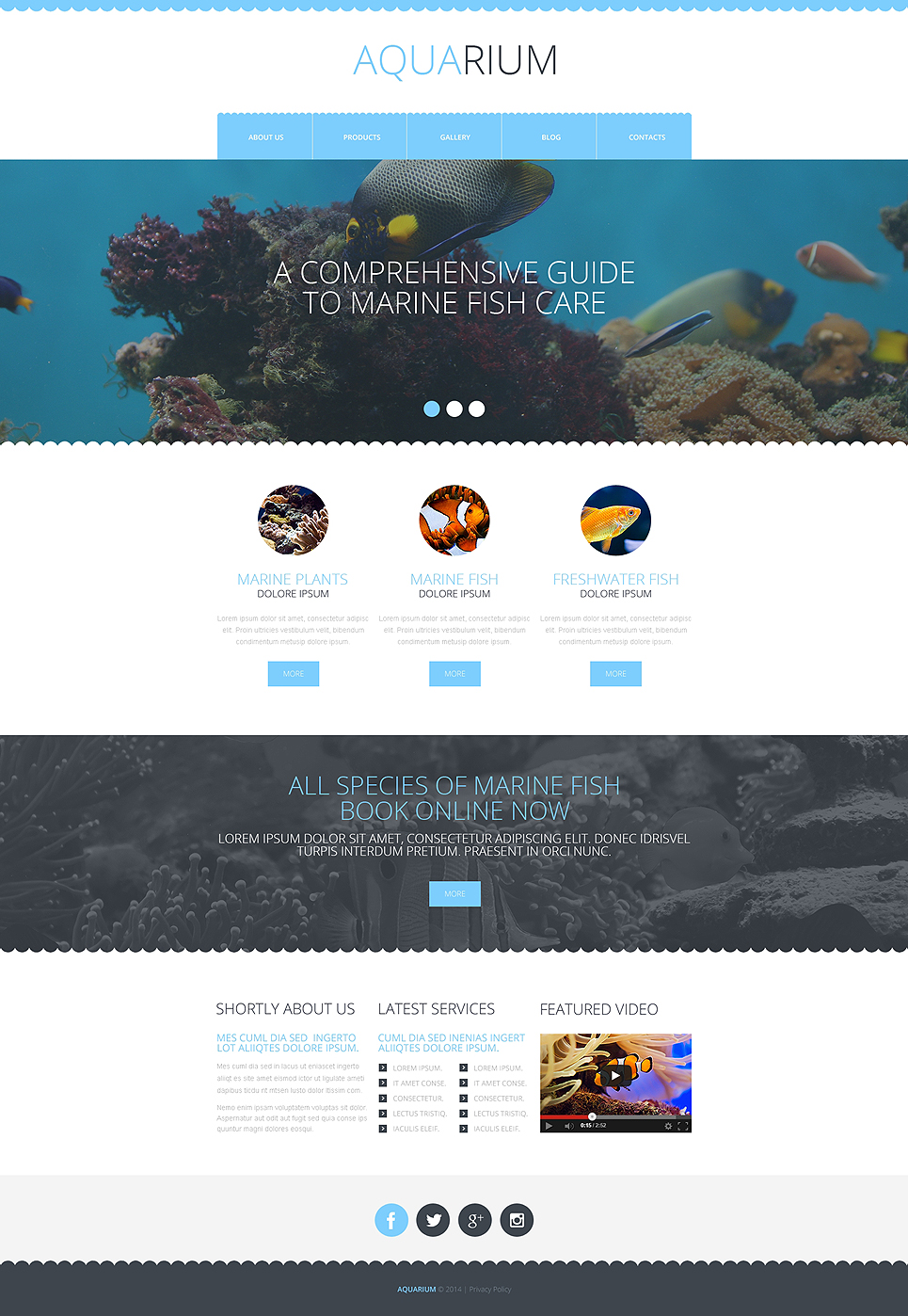 Fish Responsive Website Template New Screenshots BIG