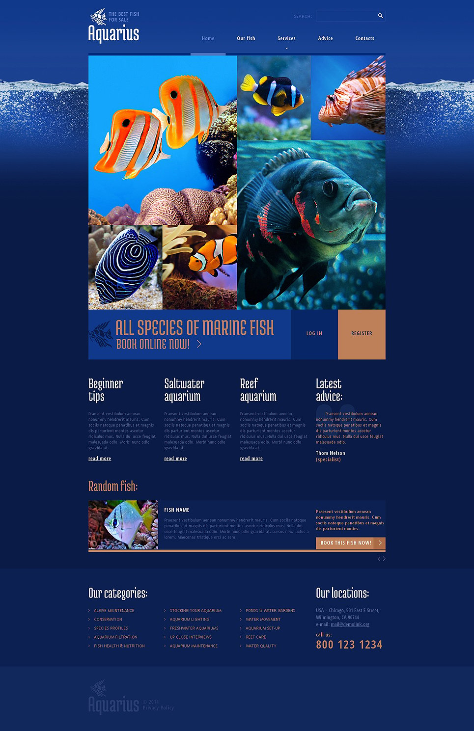 Fish Responsive Website Template New Screenshots BIG