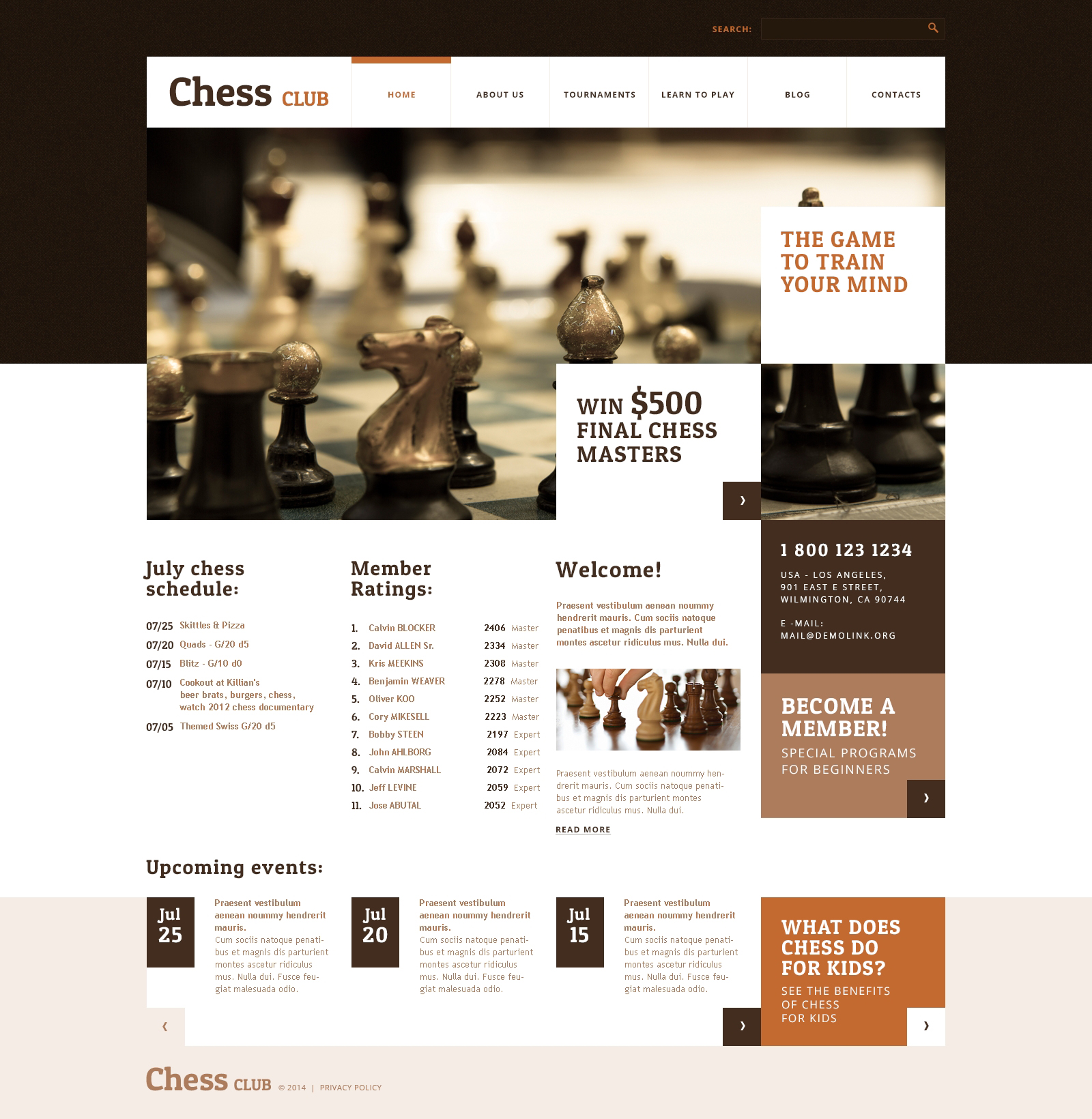 Reszponzív Chess club WordPress sablon 48426
