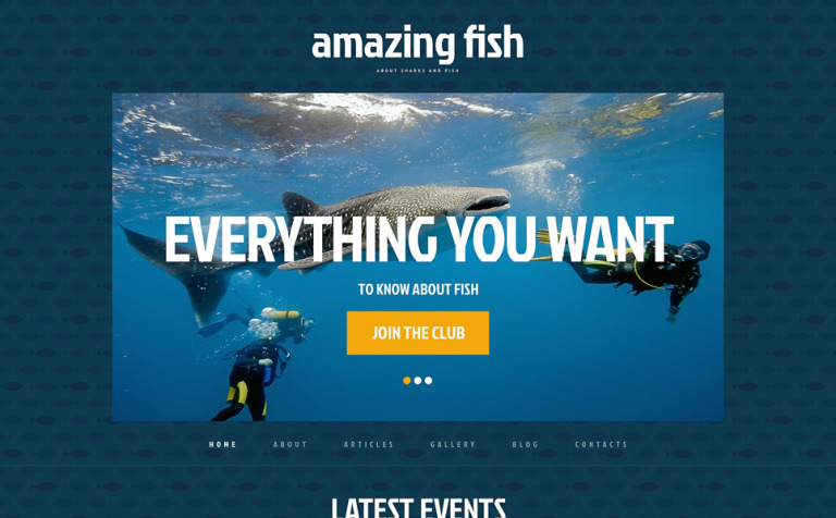 Zoo WPML ready WordPress Template Big Screenshot Zoo Responsive WordPress Theme New Screenshots BIG