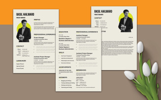 Combination Resume Template