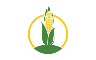 Agriculture corn vector icon logo design template v.4