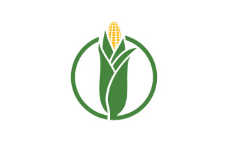 Agriculture corn vector icon logo design template v.6