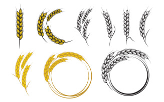 Agriculture wheat rice vector icon illustration design