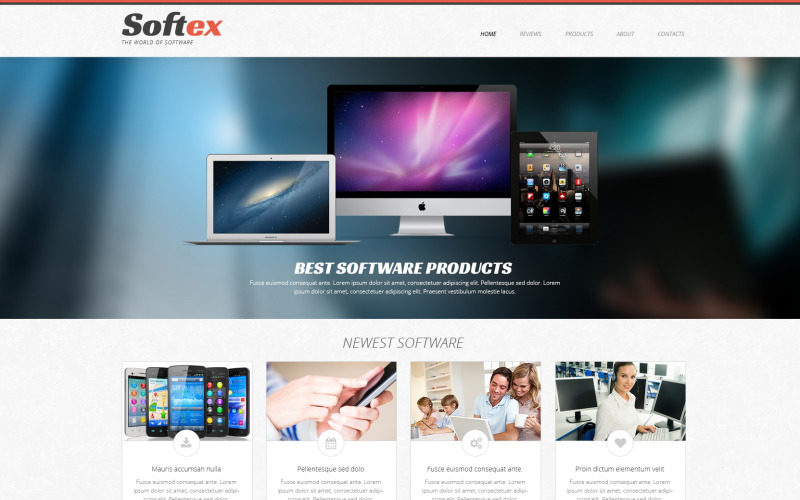 Software Company Responsive WordPress Theme