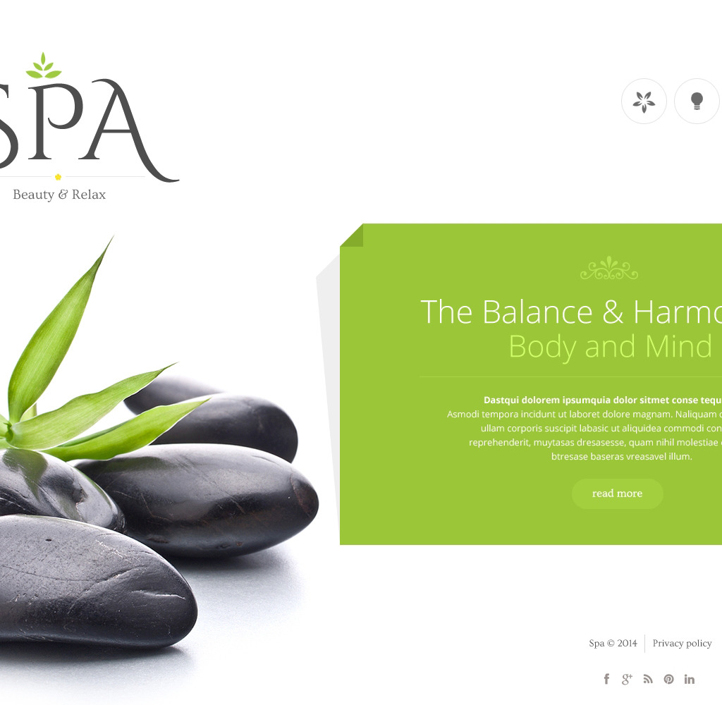 Demo preview for spa accessories website template 48623