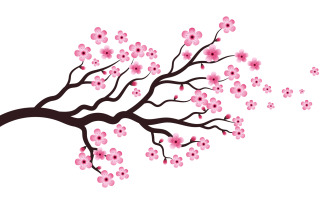 Tree Branch Sakura Beauty japan flower travel Vector icon illustration design v.4