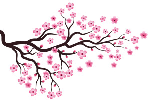 Tree Branch Sakura Beauty japan flower travel Vector icon illustration design v.9