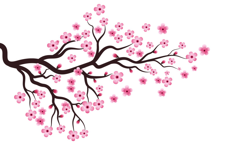 Tree Branch Sakura Beauty japan flower travel Vector icon illustration design v.9 Illustration