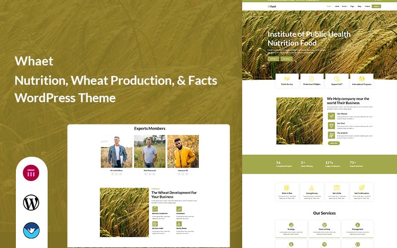 Whaet - Nutrition, Wheat Production, & Facts WordPress Theme
