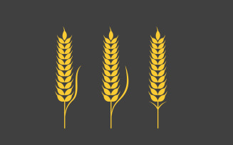 Agriculture food wheat rice vector icon illustration design v.4
