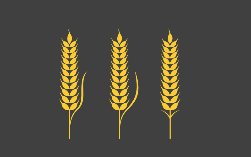 Agriculture food wheat rice vector icon illustration design v.4 Illustration