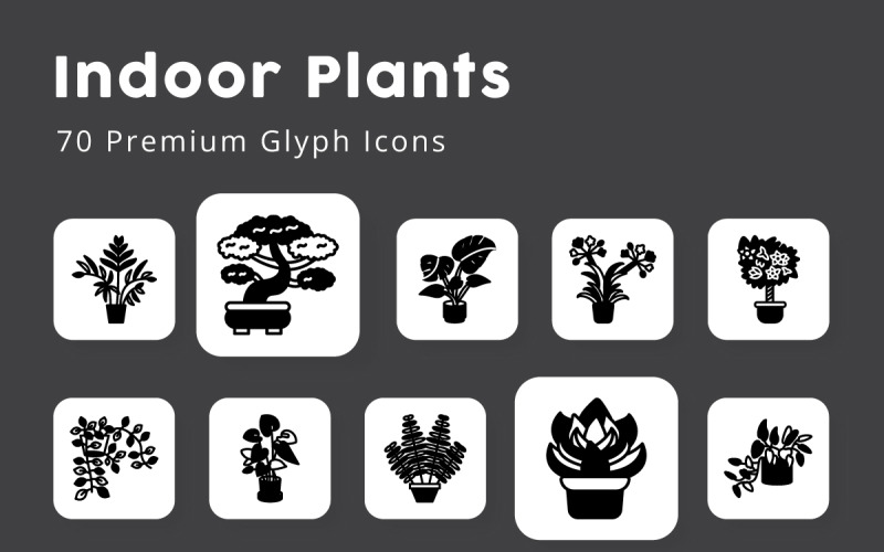 Indoor Plants Glyph Icons Pack Icon Set