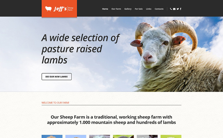 Sheep Farm Responsive Website Template Big Screenshot Sheep Farm Responsive Website Template New Screenshots BIG