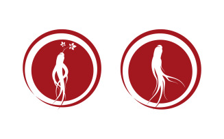 Ginseng herbal vector icon illustration logo design template v.19