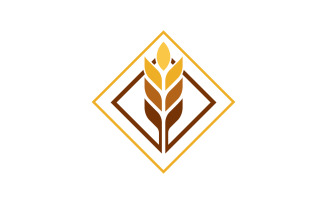 Wheat rice vector icon logo illustration design template v.3