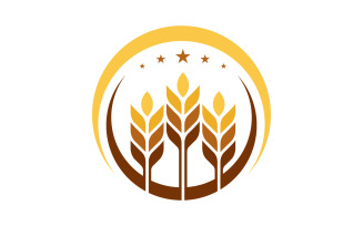 Wheat rice vector icon logo illustration design template v.7