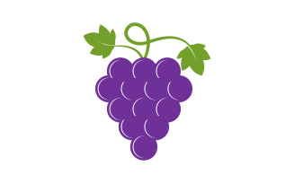 Grapes fruit logo template vector illustration design v.12