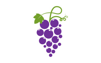 Grapes fruit logo template vector illustration design v.6
