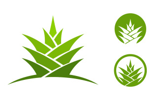 Pineapple fruit icon logo template vector illustration design v.9