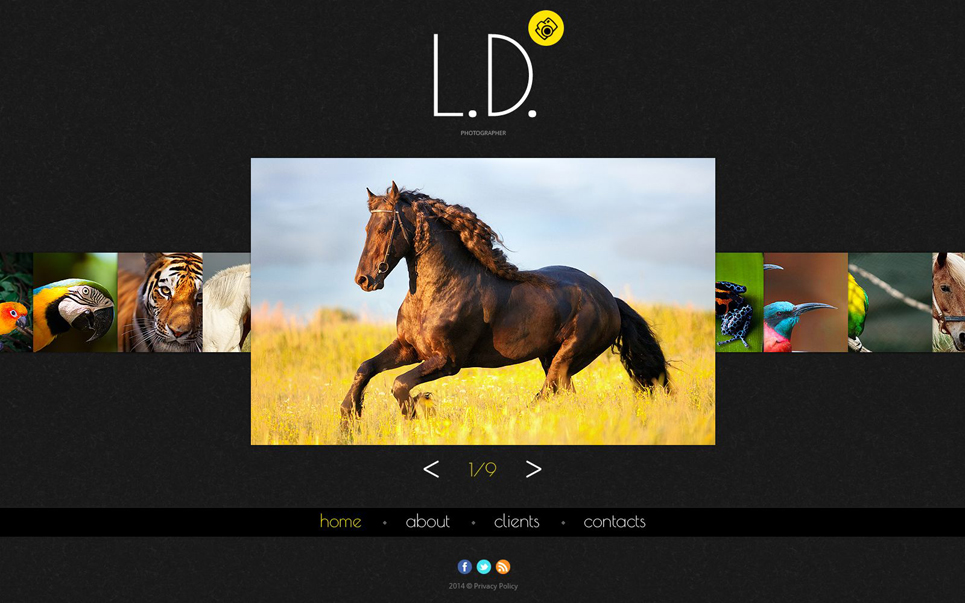 Photographer Portfolio Website Template New Screenshots BIG