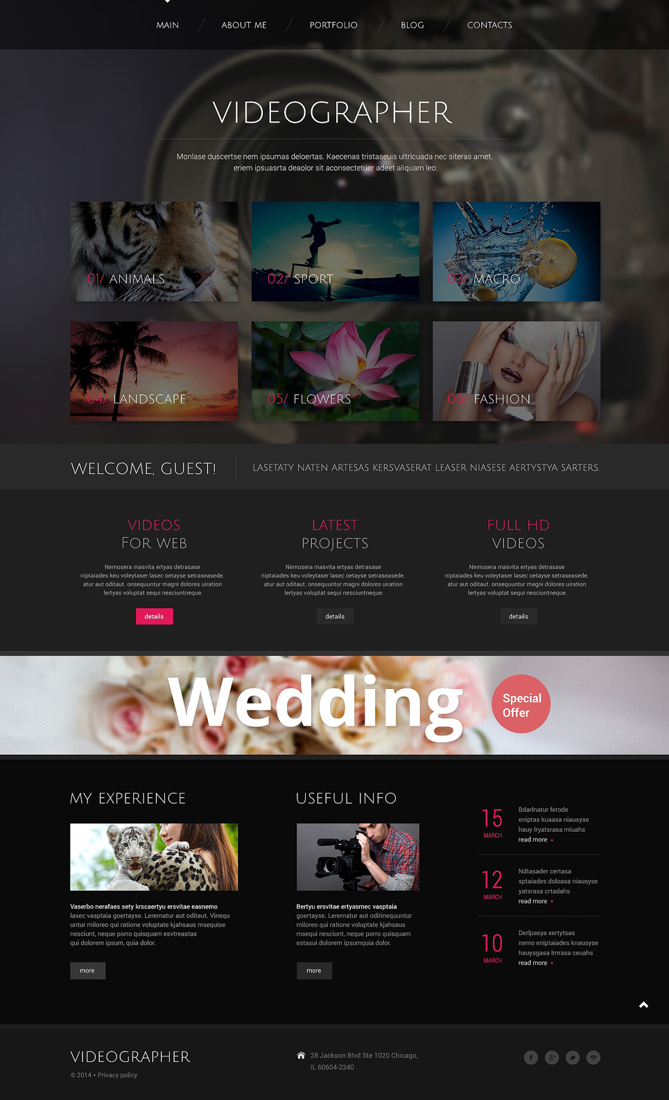 Videographer Responsive WordPress Theme New Screenshots BIG