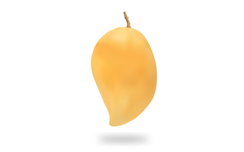 Ripe Mango Fruit Vector Illustration