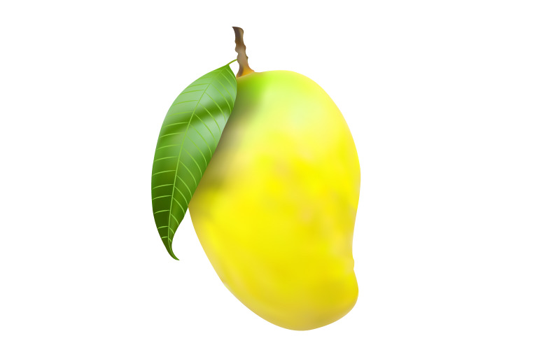 Ripe mangoes and green leaves isolated on a white background Illustration