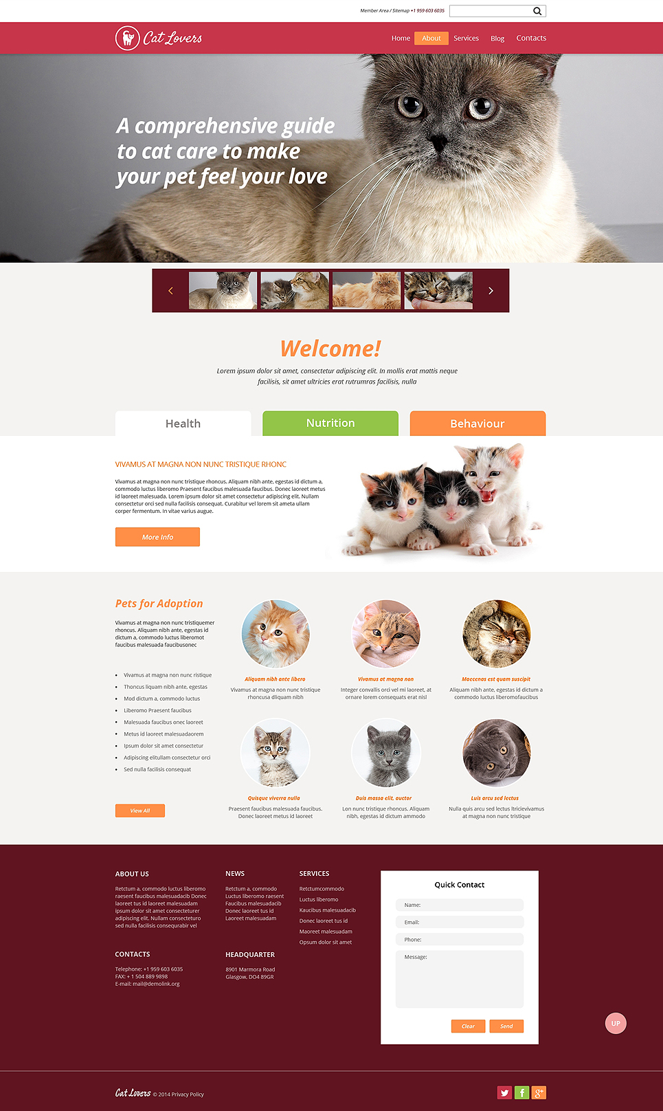 Cat Responsive Website Template New Screenshots BIG