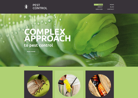 Pest Control Responsive