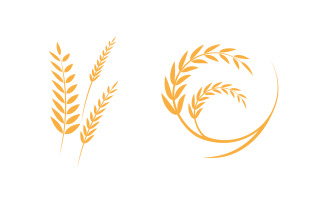 Agriculture farm wheat rice vector icon illustration design v.1