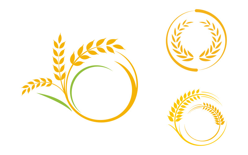 Agriculture farm wheat rice vector icon illustration design v.3 Logo Template