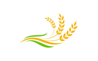 Agriculture farm wheat rice vector icon illustration design v.4