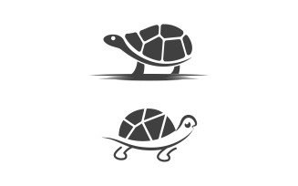 Turtle animal cartoon icon vector illustration design template v.6