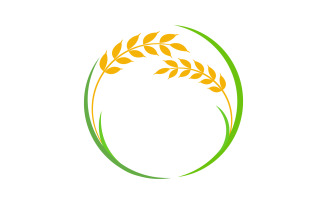 Agriculture Wheat rice farm vector icon illustration template v.10