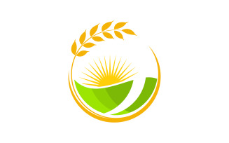 Agriculture Wheat rice farm vector icon illustration template v.3