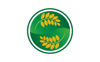 Agriculture Wheat rice farm vector icon illustration template v.4
