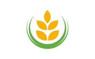 Agriculture Wheat rice farm vector icon illustration template v.6