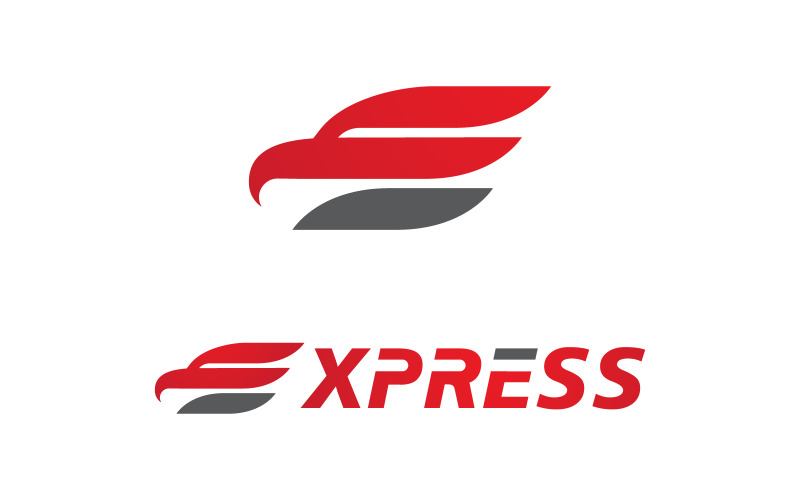 Express delivery logo Vector icon design illustration v.1 Logo Template
