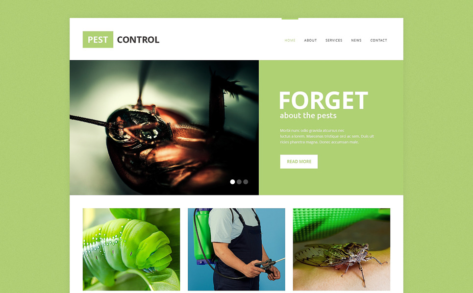 Pest Control Responsive Website Template #49210