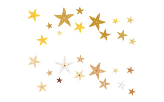 Sea Star fish icon Logo Template vector illustration design v.11