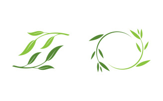 Olive Oil leaf vector illustration design template v.10