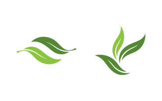 Olive Oil leaf vector illustration design template v.14