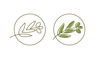 Olive Oil leaf vector illustration design template v.18